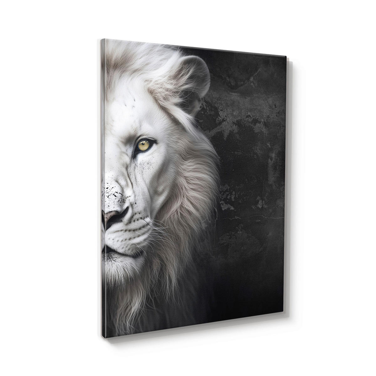 LEINWANDBILD Tiere 60/80 cm  - Schwarz/Weiß, Basics, Holz/Textil (60/80cm)