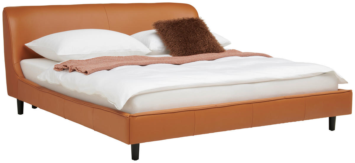 TAPECIRANI KREVET   180/200 cm   smeđa  - crna/smeđa, Moderno, koža/drvo (180/200cm) - Livetastic