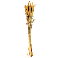 DEKOPFLANZE  - Gelb, Basics, Naturmaterialien (70-75cm) - ASA