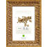 RAHMEN in Goldfarben - Goldfarben, Basics, Glas/Holz (28,6cm) RAHMEN in Goldfarben - Goldfarben, Basics, Glas/Holz (28,6cm)