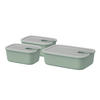 VORRATSDOSENSET 3-teilig  - Klar/Salbeigrün, Basics, Kunststoff (17,2/14,8/24,2cm) - Mepal