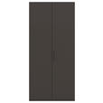 DREHTÜRENSCHRANK 101/223/61 cm,  in Graphitfarben, 2-türig  - Graphitfarben, Basics, Holzwerkstoff/Metall (101/223/61cm) - Novel