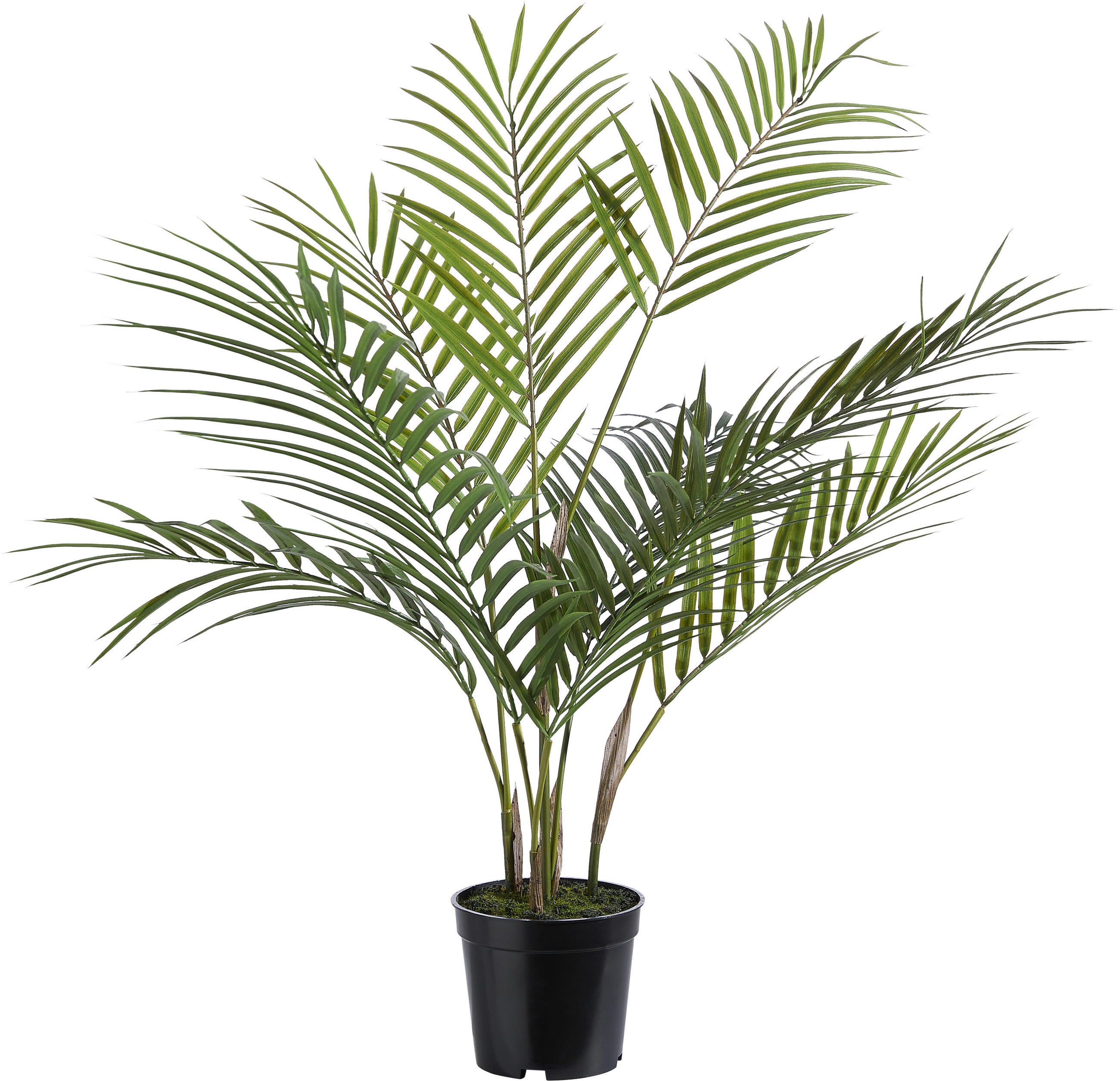 KUNSTPFLANZE 75 cm  - Grün, KONVENTIONELL, Kunststoff (75cm)