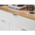 SCHUHSCHRANK 78/103/38 cm - Silberfarben/Schwarz, Design, Holzwerkstoff/Kunststoff (78/103/38cm) - Xora