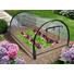 GEWÄCHSHAUS - Transparent, Basics, Holz/Kunststoff (120/50/80cm) GEWÄCHSHAUS - Transparent, Basics, Holz/Kunststoff (120/50/80cm)