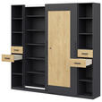AKTENSCHRANK Anthrazit, Hickory  - Anthrazit/Hickory, Basics, Holzwerkstoff (240/220,5/41,9cm) - Moderano