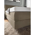 BOXSPRINGBETT 180/200 cm  in Schlammfarben  - Schlammfarben, KONVENTIONELL, Holz/Textil (180/200cm) - Dieter Knoll