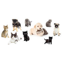 DEKORAČNÍ NÁLEPKA - Basics, plast (50/70cm) - Euroart