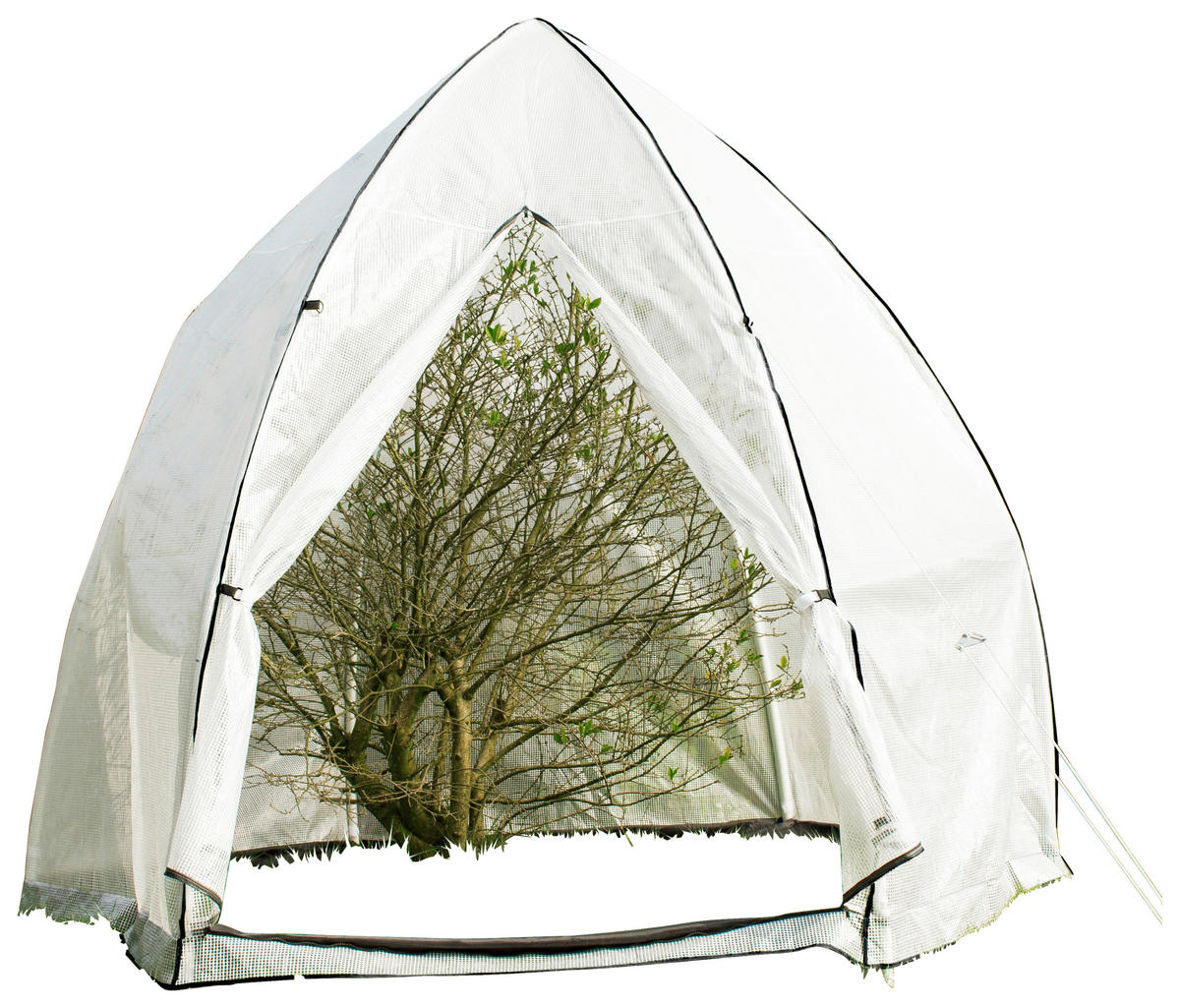 PFLANZENZELT - Basics, Kunststoff (340/280/340cm)