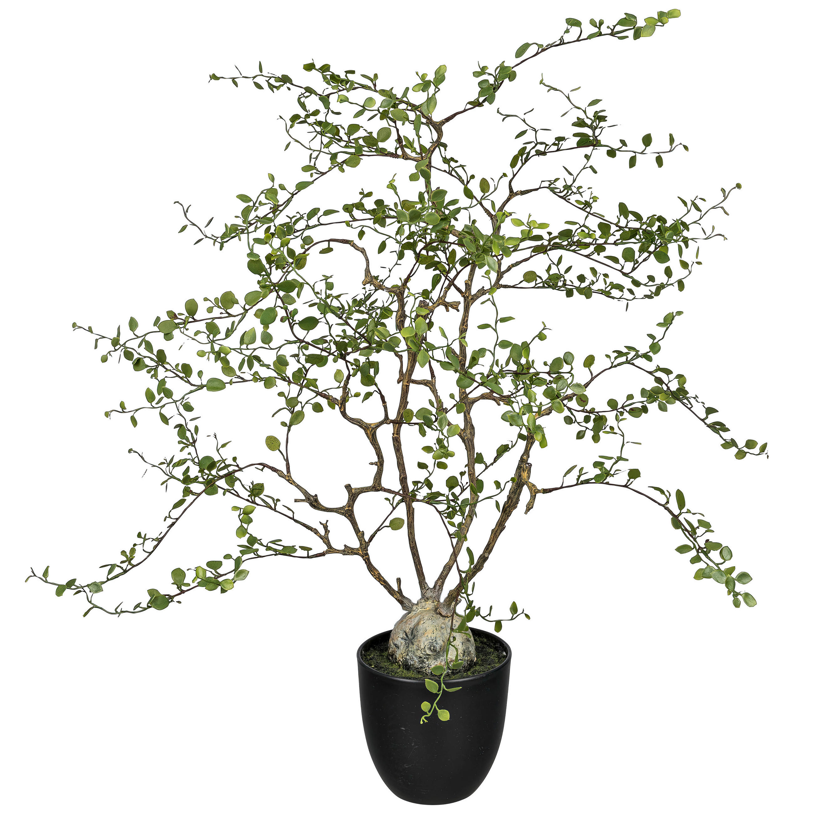 DEKOPFLANZE 91 cm  - Grün, Basics, Kunststoff (91cm)