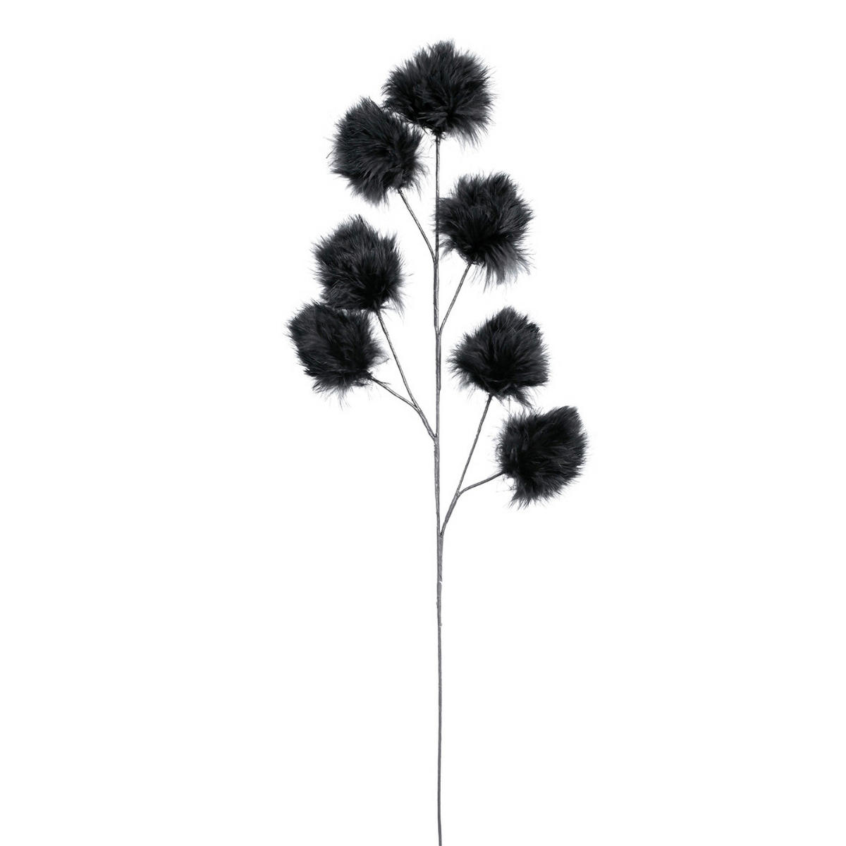 GRANA DEKORATIVNA  - crna, Basics (16/4/70cm)