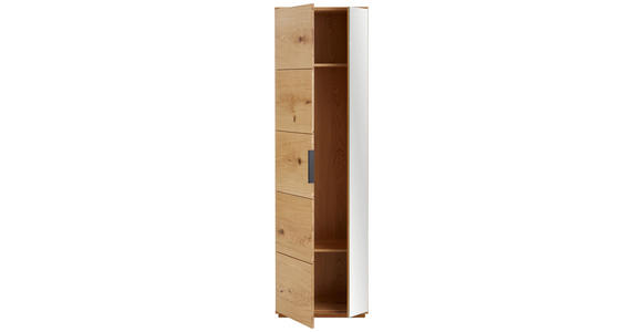 GARDEROBENSCHRANK  in 60/202/38 cm  - Eichefarben/Schwarz, Natur, Glas/Holz (60/202/38cm) - Linea Natura