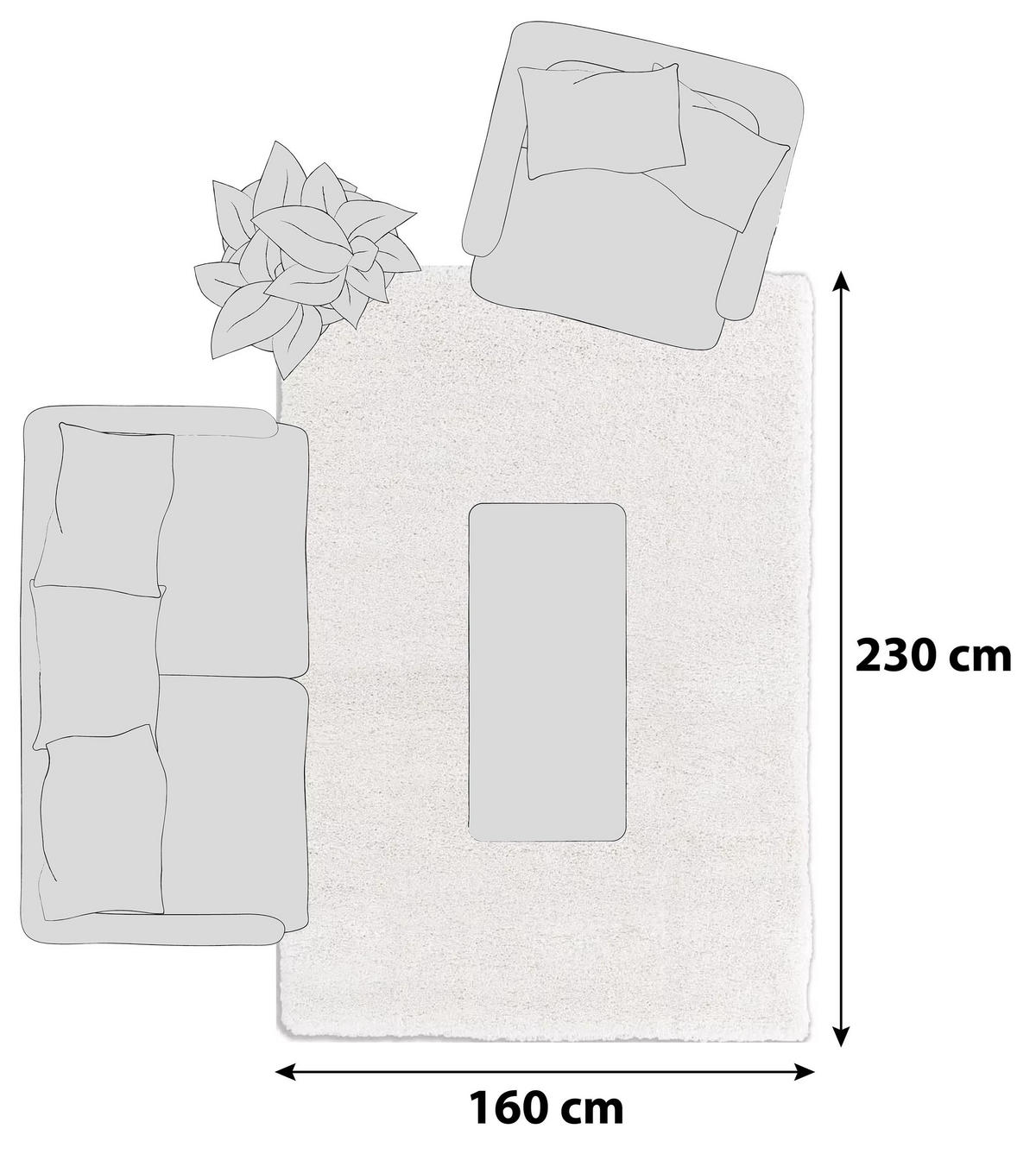 HOCHFLORTEPPICH 160/230 cm Savage Creme  - Creme, KONVENTIONELL, Textil (160/230cm) - Schöner Wohnen