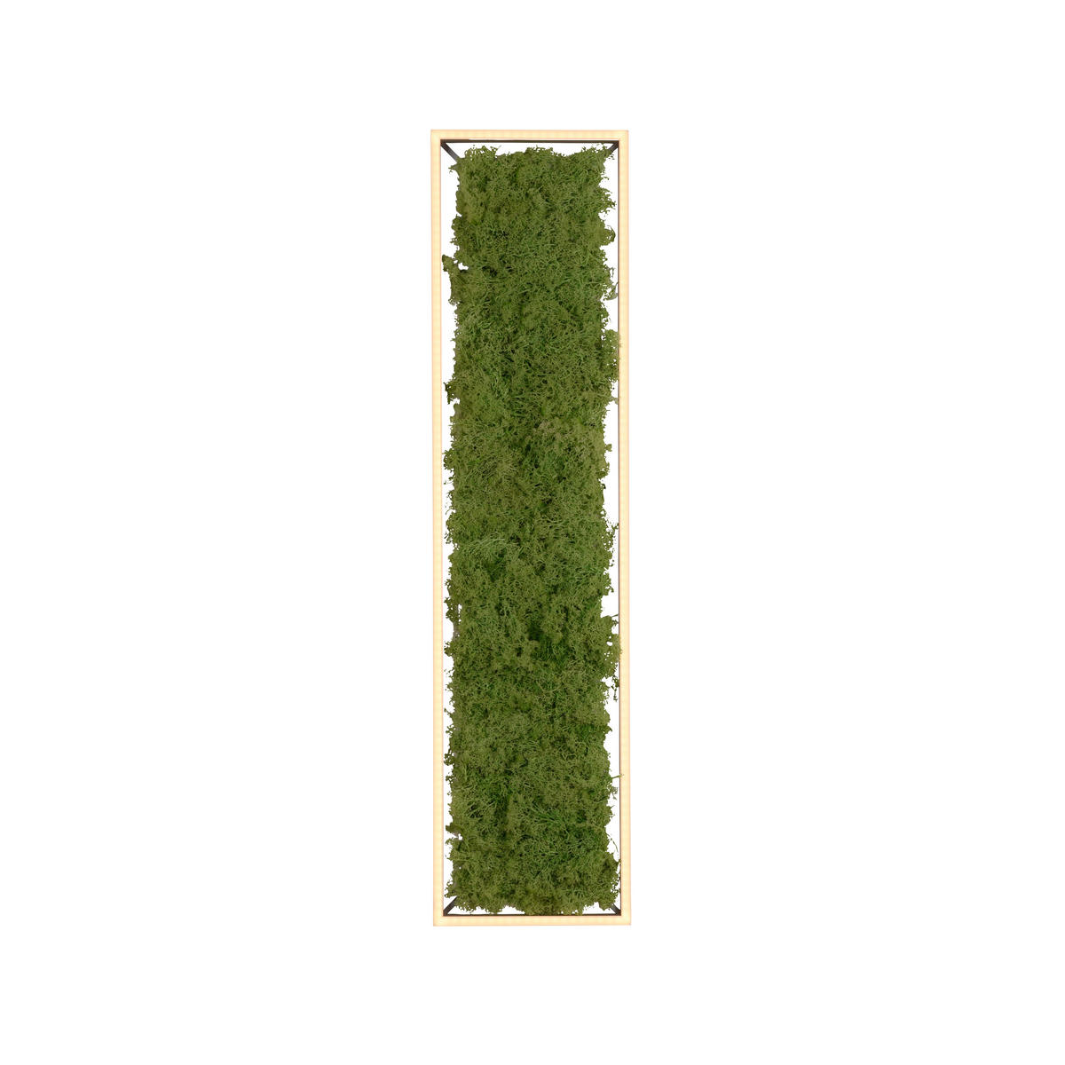 LED-DECKENLEUCHTE Green Knut 100/25/5,6 cm   - Natur, Naturmaterialien/Kunststoff (100/25/5,6cm)