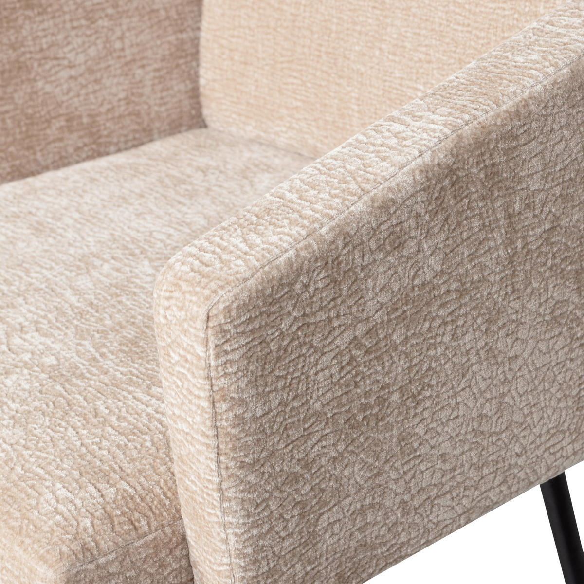 ARMLEHNSTUHL-SET 2 Stück  Chenille  - Sandfarben/Schwarz, MODERN, Textil/Metall (61/82/65cm) - Livetastic