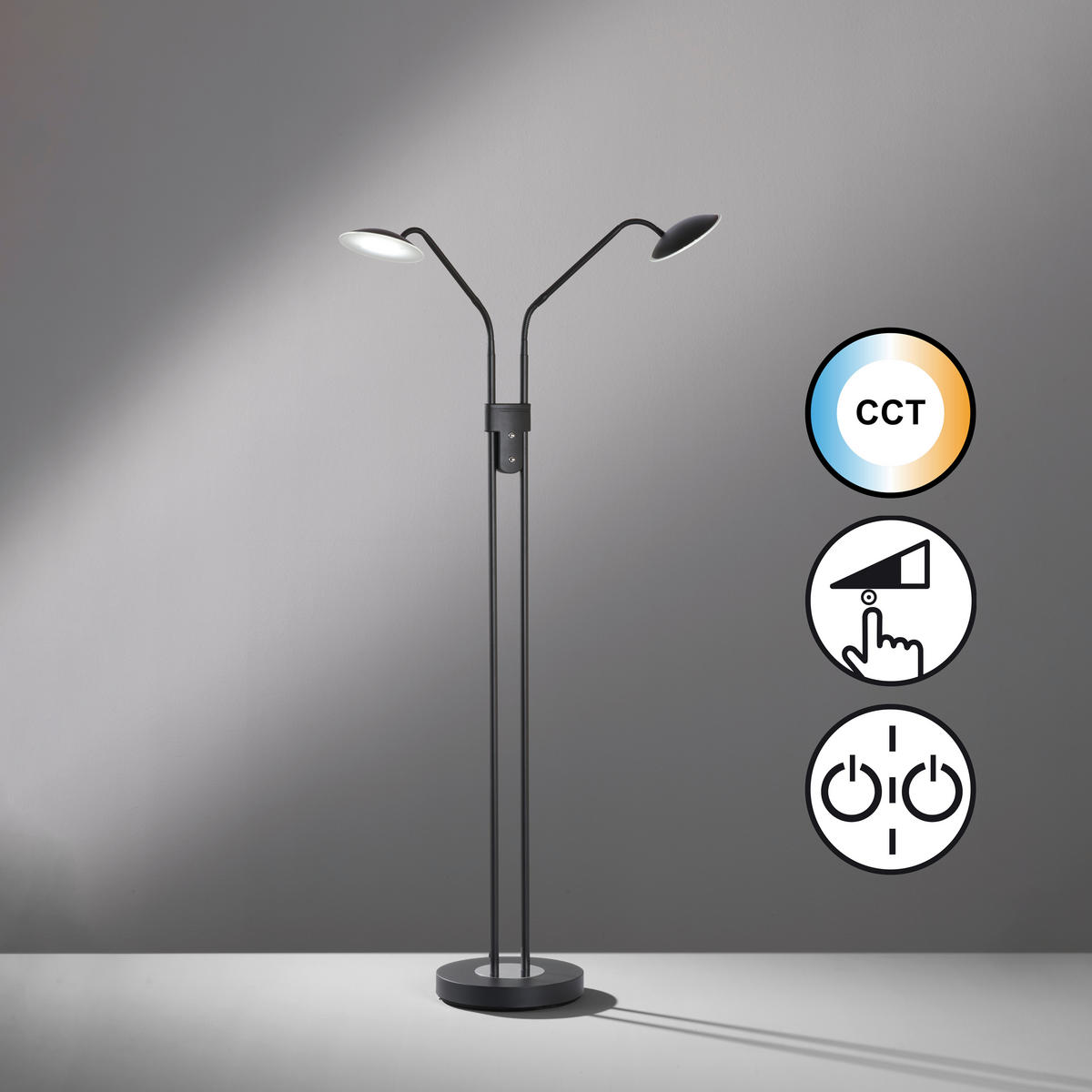 STOJACÍ LED SVÍTIDLO, 135 cm - černá, Konvenční, kov (135cm) - Fischer & Honsel