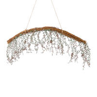 DEKOPFLANZE - Braun, Natur, Kunststoff (78/25cm) - X-Mas