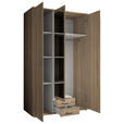 DREHTÜRENSCHRANK  in Sonoma Eiche  - Alufarben/Sonoma Eiche, KONVENTIONELL, Glas/Holzwerkstoff (120/196/53,5cm) - Carryhome