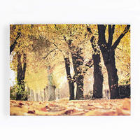 LEINWANDBILD Landschaft & Natur 75/100/3 cm  - Multicolor, Basics, Wellpappe/Textil (75/100/3cm)