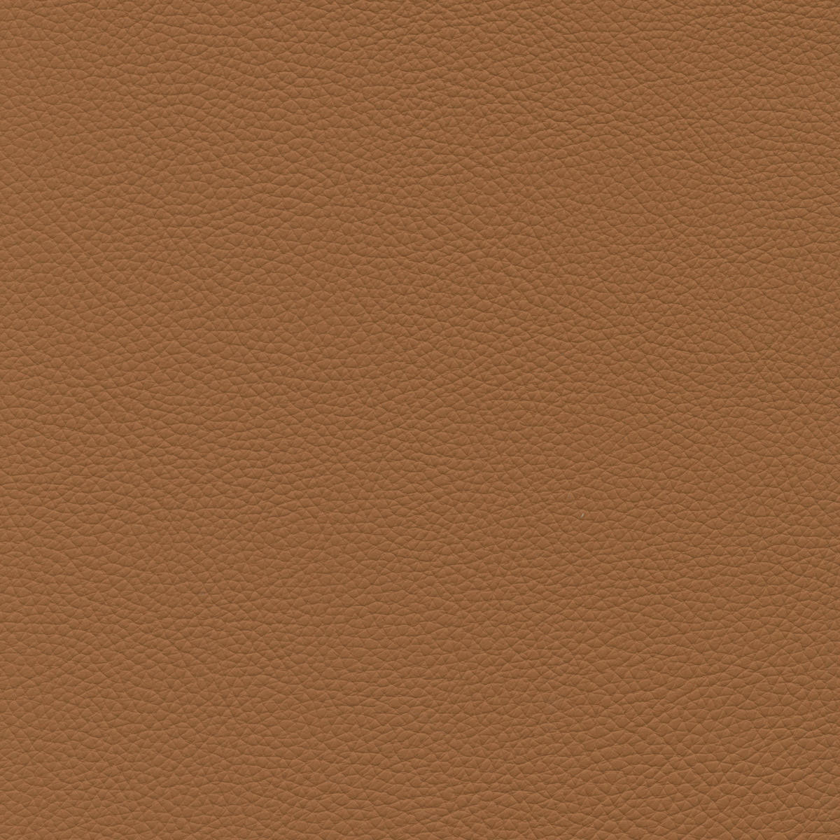ECKSOFA in Echtleder Currygelb  - Currygelb/Cognac, Design, Leder/Metall (165/313cm) - Emilio Belluti