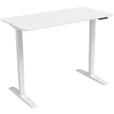 SCHREIBTISCH höhenverstellbar  - Weiß, KONVENTIONELL, Holzwerkstoff/Metall (120/60/75-120cm) - Carryhome