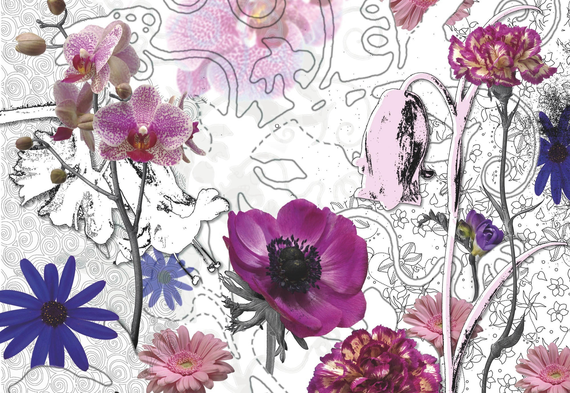 FOTOTAPETE Purple  - Beere/Lila, Natur, Papier (368/254cm) - Komar
