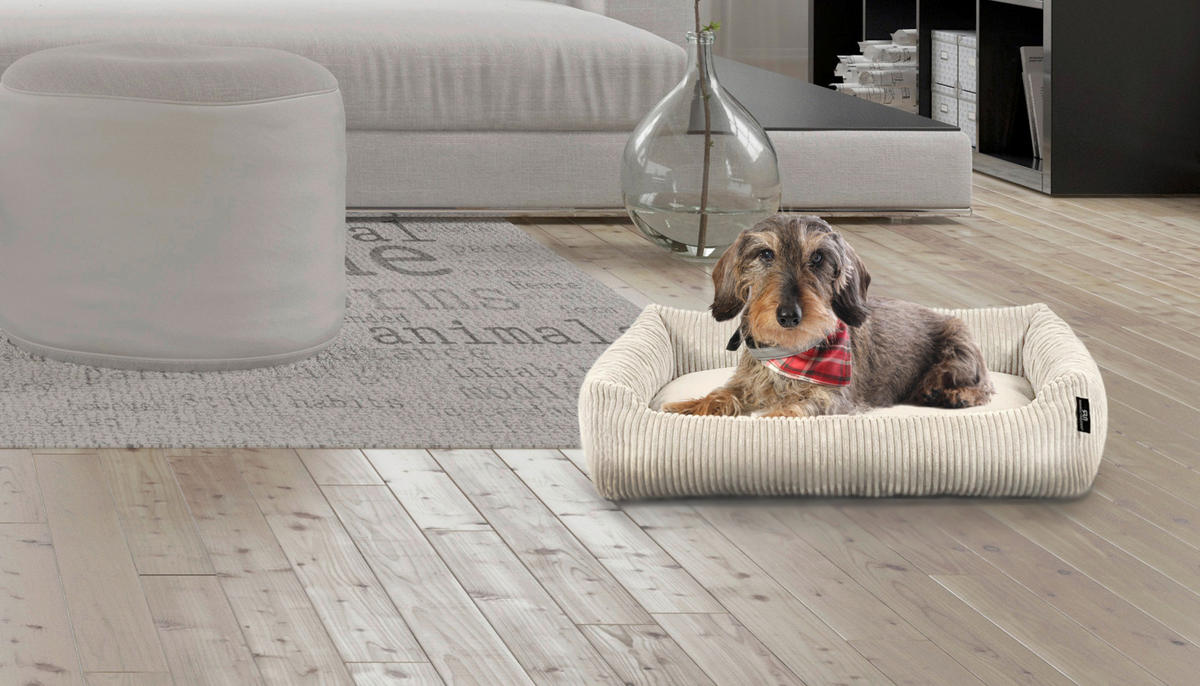 HUNDEKISSEN BALU BEIGE - Beige, KONVENTIONELL, Textil (70/49/15cm)