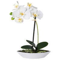 KUNSTPFLANZE Orchidee 30 cm  - Weiß/Grün, Design, Keramik/Kunststoff (30cm) - P & B