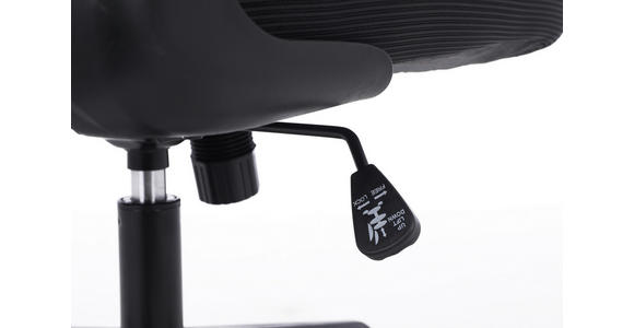 DREHSTUHL Netzbespannung Schwarz  - Schwarz, KONVENTIONELL, Kunststoff/Textil (63,5/116-126/66cm) - Carryhome