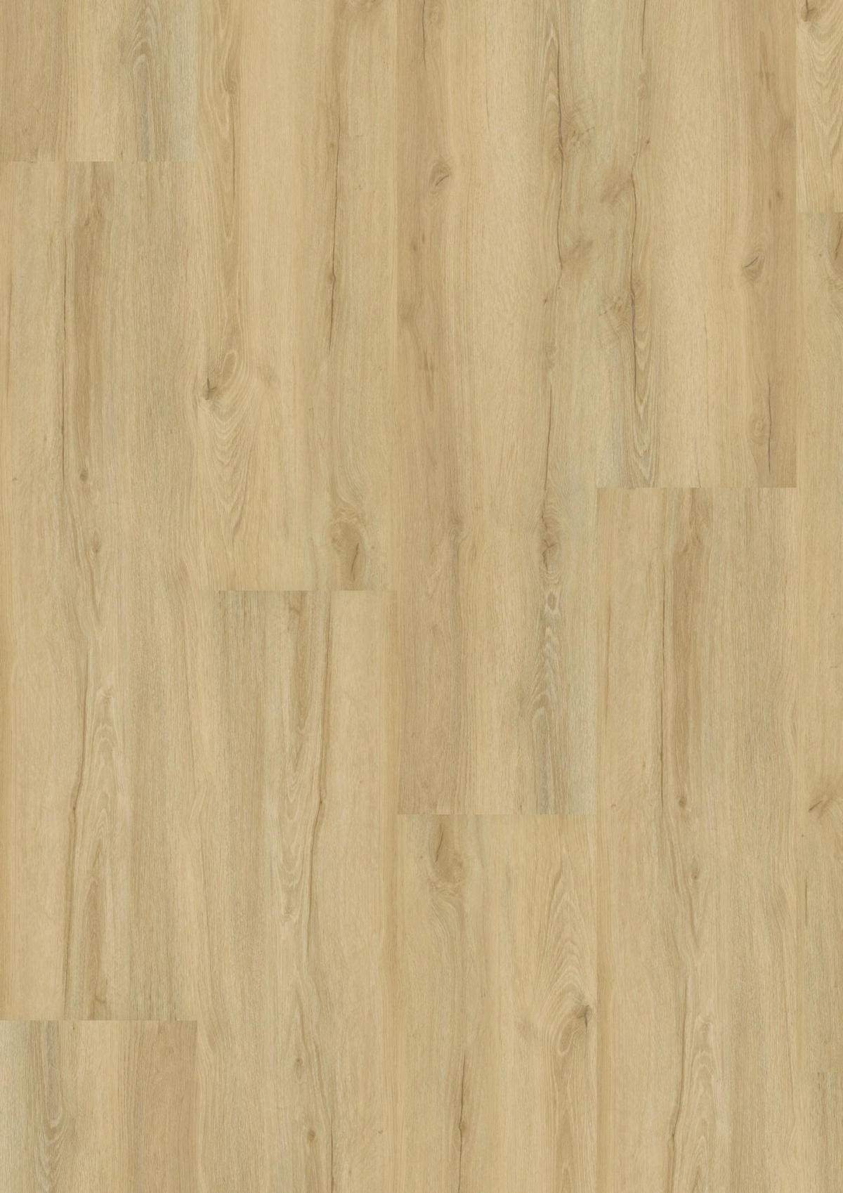 VINYLBODEN, Eiche Fortis  per  m² - Design, Holzwerkstoff (121/28,8/0,98cm) - Tilo