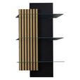 WANDREGAL  60/108/28 cm  - Wildeiche/Anthrazit, Design, Glas/Holzwerkstoff (60/108/28cm) - Moderano