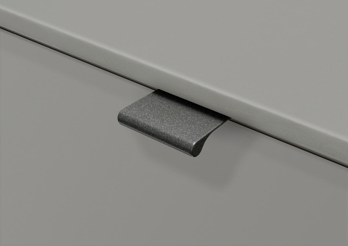DREHTÜRENSCHRANK in Champagner, Eiche Bianco  - Schieferfarben/Eiche Bianco, Konventionell, Glas/Holzwerkstoff (250/216/58cm) - Dieter Knoll
