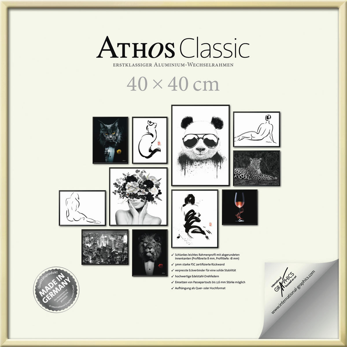 BILDERRAHMEN - Goldfarben, Basics, Papier/Holzwerkstoff (40/40/1,8cm)