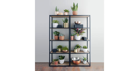 EINBAUKÜCHE   - Eichefarben/Grau, Design, Holzwerkstoff - Novel