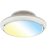 DECKENVENTILATOR - Chromfarben/Weiß, Design, Kunststoff/Metall (44/17,5cm)