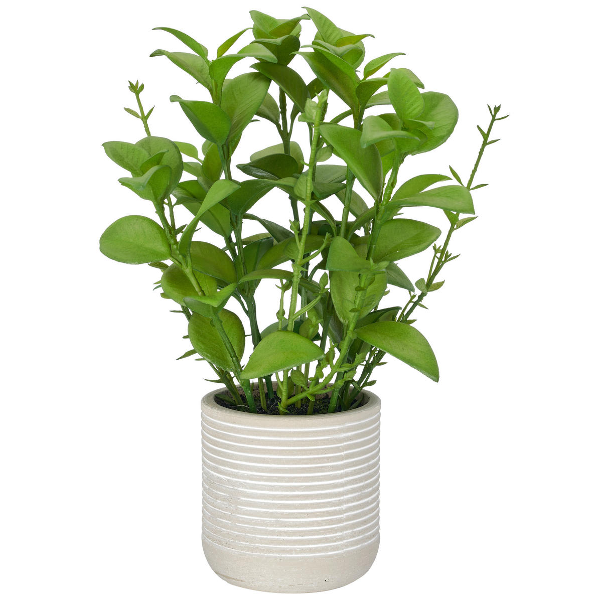 KUNSTPFLANZE Dekoblatt 26 cm  - Hellgrau/Grün, Basics, Naturmaterialien/Kunststoff (26cm)