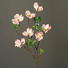 KUNSTPFLANZE - Braun/Rosa, Trend, Kunststoff (76cm) KUNSTPFLANZE - Braun/Rosa, Trend, Kunststoff (76cm)