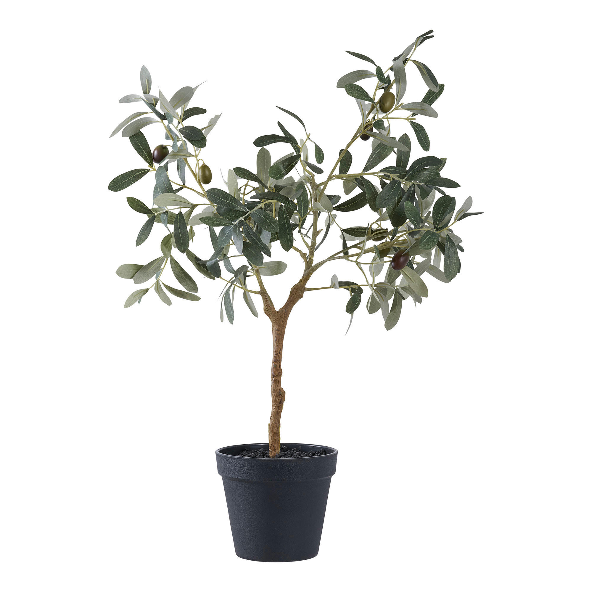 KUNSTPFLANZE Olive  - Grün, Design (22.5/61/36.5cm)