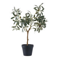 KUNSTPFLANZE Olive  - Grün, Design (22.5/61/36.5cm)
