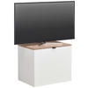 TV-ELEMENT Weiß, Eiche Artisan  60/62/44 cm  - Schwarz/Weiß, MODERN, Holzwerkstoff/Metall (60/62/44cm) - Hom`in
