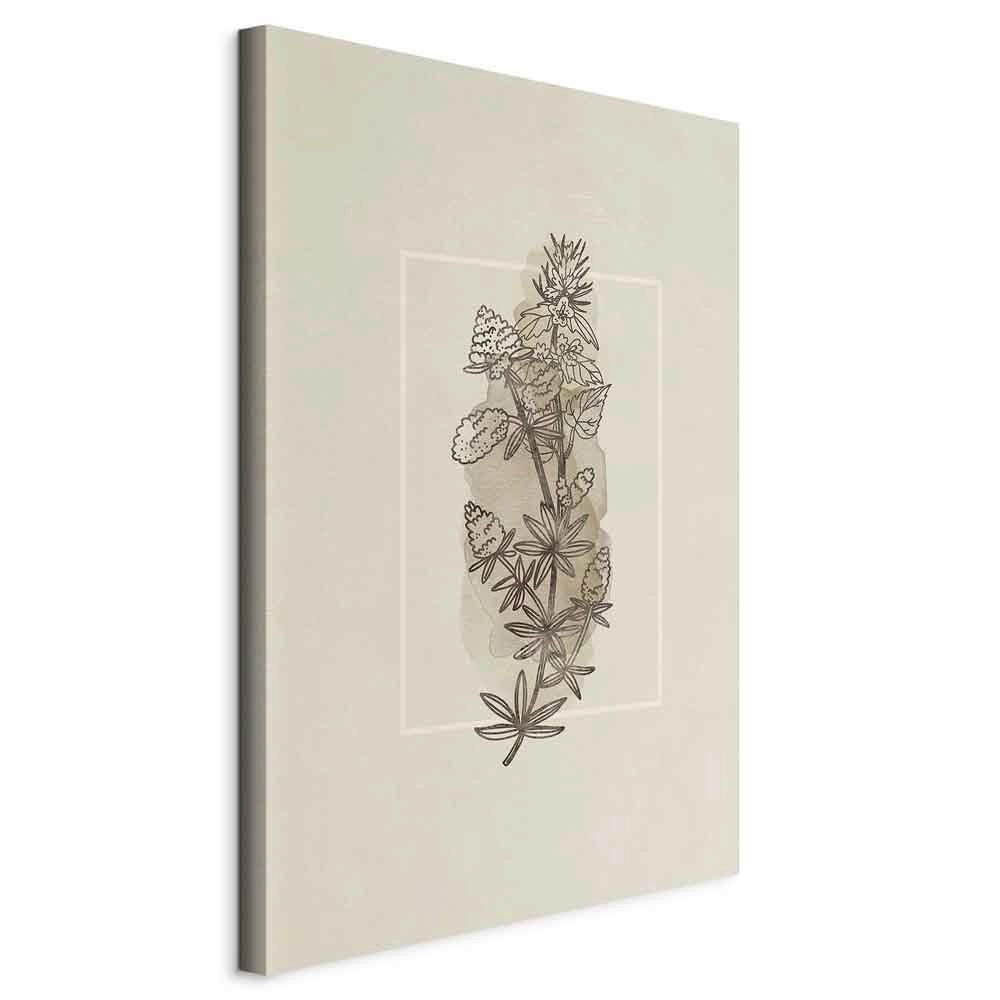 LEINWANDBILD Abstraktes, Blumen 40/60/1,2 cm  - Creme/Braun, Basics, Holzwerkstoff/Textil (40/60/1,2cm) - artgeist