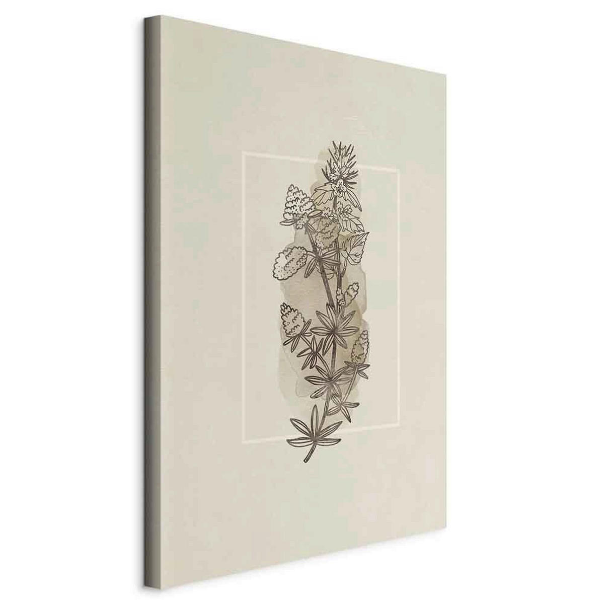 LEINWANDBILD Abstraktes, Blumen 40/60/1,2 cm  - Creme/Braun, Basics, Holzwerkstoff/Textil (40/60/1,2cm) - artgeist