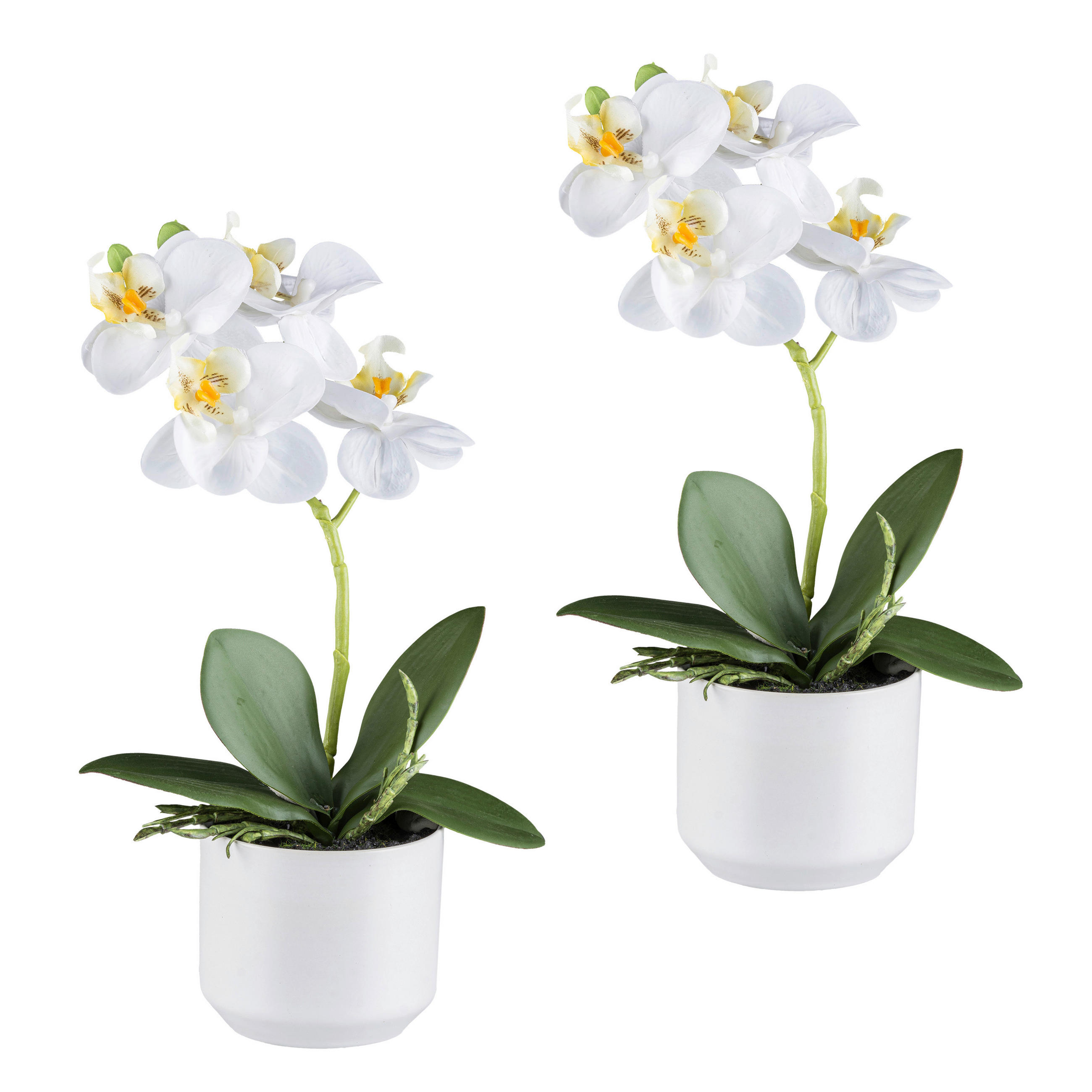 KUNSTPFLANZE Orchidee 27 cm  - Weiß/Grün, Design, Keramik/Kunststoff (27cm) - P & B