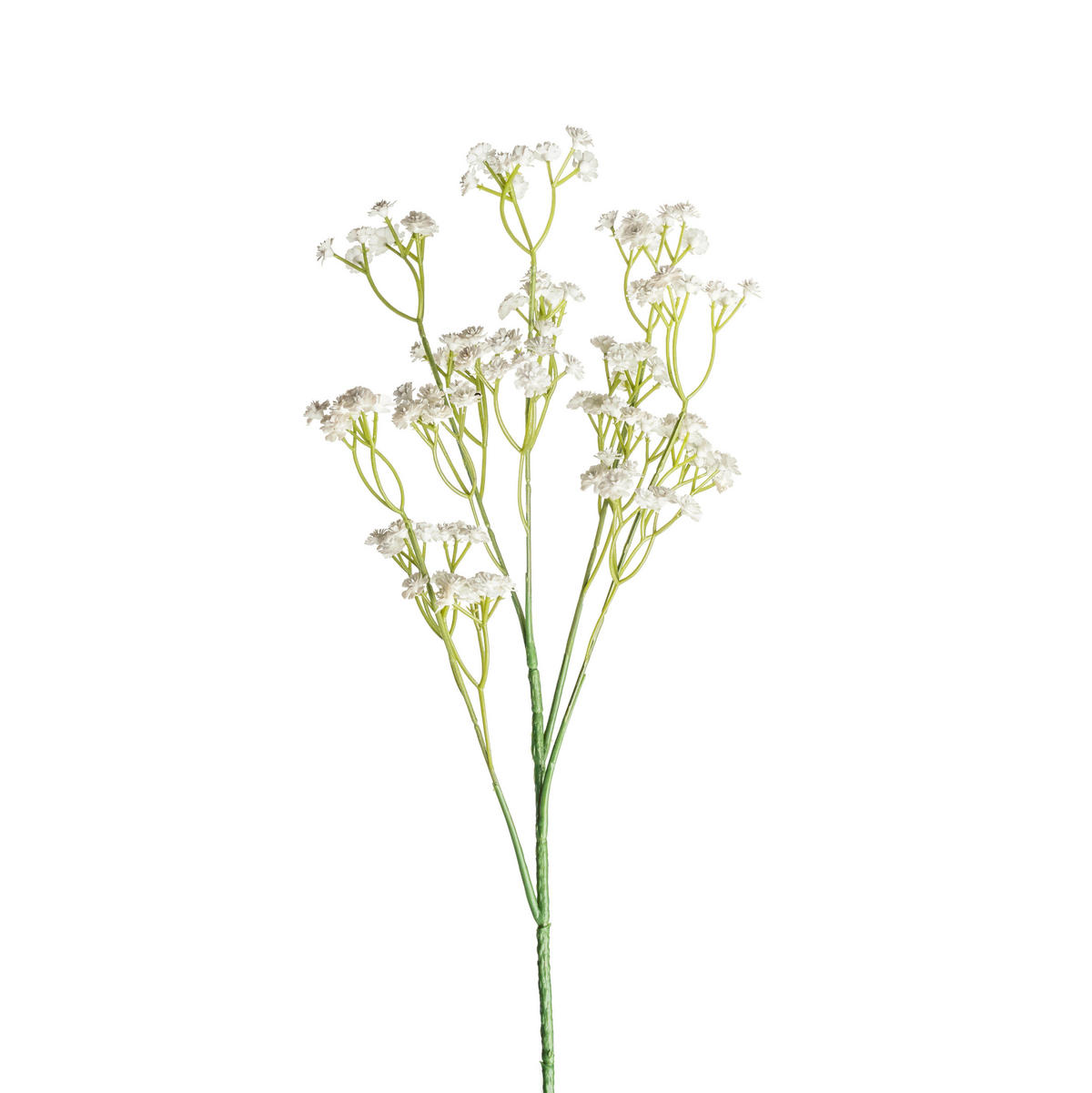 GIPSOFILA           70 cm   - bela/zelena, Osnovno, plastika (70cm)