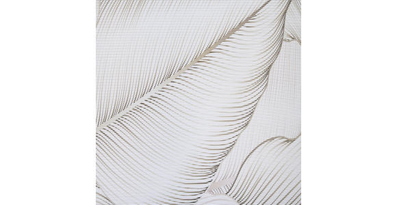 FLÄCHENVORHANG in Taupe halbtransparent  - Taupe, Basics, Textil (60/255cm) - Novel