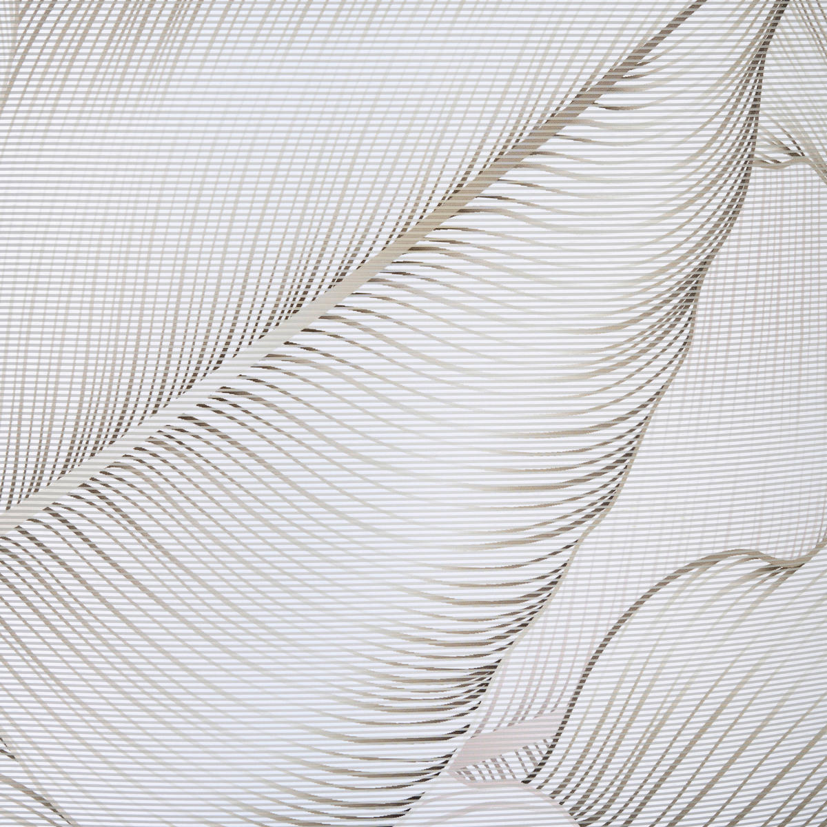 FLÄCHENVORHANG in Taupe halbtransparent  - Taupe, Basics, Textil (60/255cm) - Novel