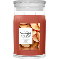 VONNÁ SVÍČKA  - rezavá/čiré, Basics, parafín/sklo (9,3/15,7/9,3cm) - Yankee Candle
