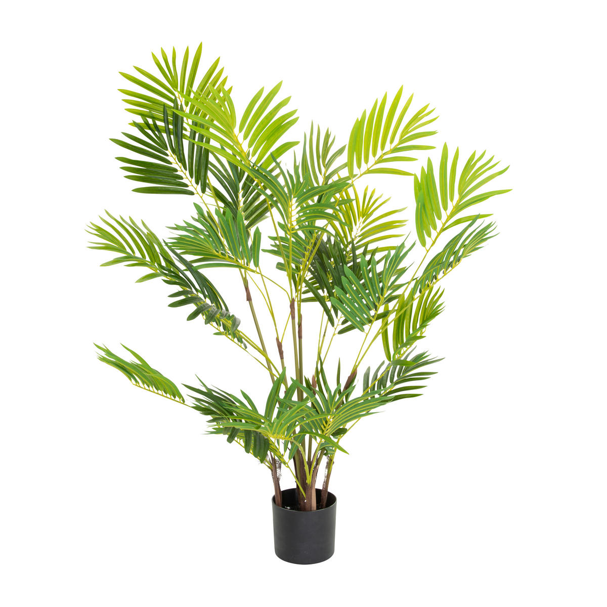 KUNSTPFLANZE Palme  - Schwarz/Braun, Basics, Kunststoff (70/120/70cm) - MID.YOU
