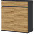 SCHUHSCHRANK Anthrazit, Eichefarben - Eichefarben/Anthrazit, Basics, Holzwerkstoff/Kunststoff (96/103/40cm) SCHUHSCHRANK Anthrazit, Eichefarben - Eichefarben/Anthrazit, Basics, Holzwerkstoff/Kunststoff (96/103/40cm)