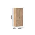 DREHTÜRENSCHRANK in Eichefarben - Eichefarben/Silberfarben, Design, Holzwerkstoff/Kunststoff (101/223/60cm) - Novel